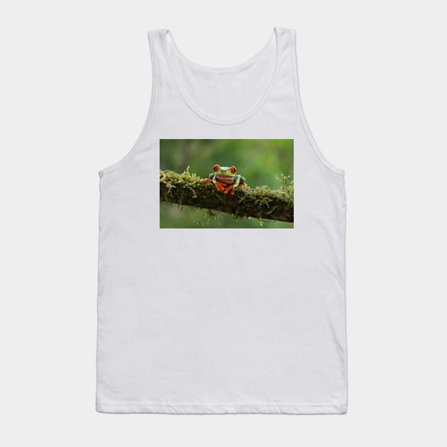 Red-eyed Tree Frog - Costa Rica Tank Top by Jim Cumming